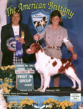 Ch. N-Vee's Touch of Romance